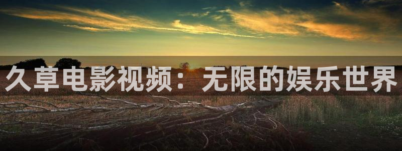 韩国麻豆理论电影