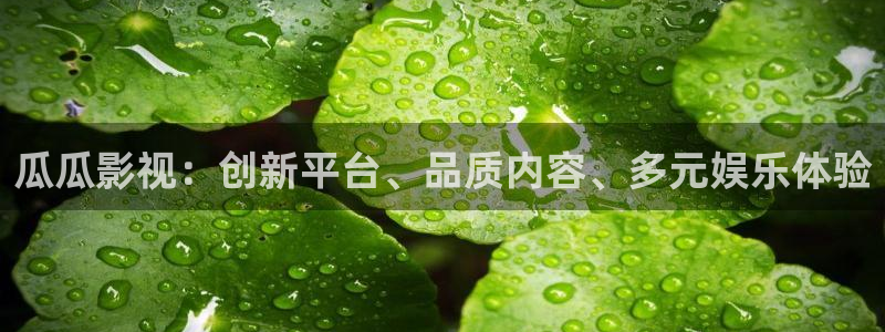韩国理论电影在线播放：瓜瓜影视：创新平台、品质内容、多元娱乐体验