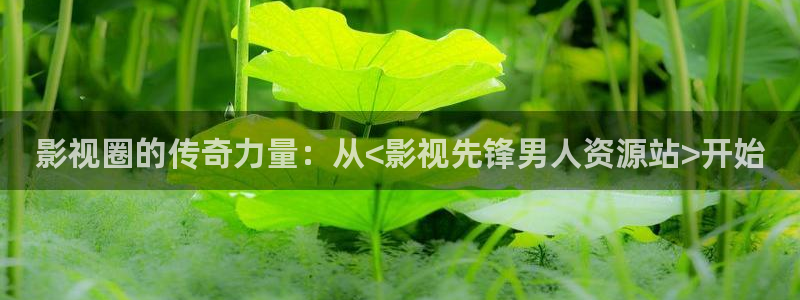 九七电影院理论片
