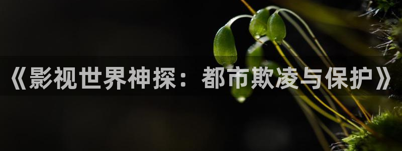 理论福利影院