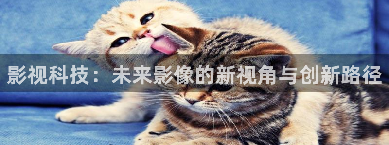 e80e理论电影网：影视科技：未来影像的新视角与创新路径