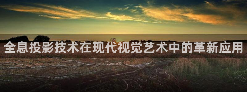 6080新视觉理论片免费观看：全息投影技术在现代视觉艺术中的革新应用