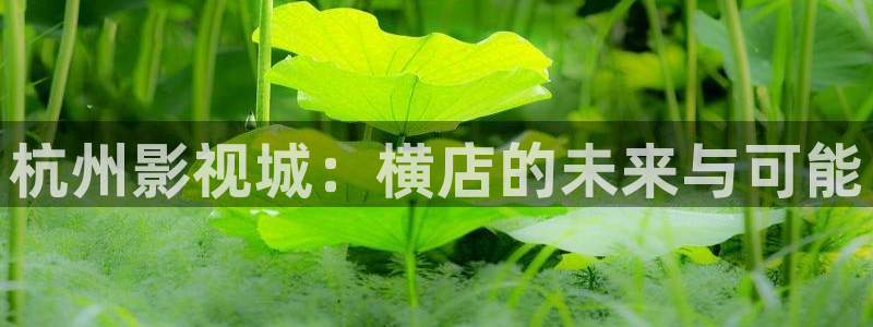 全部理论电影