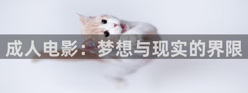 天狼影院理论电影