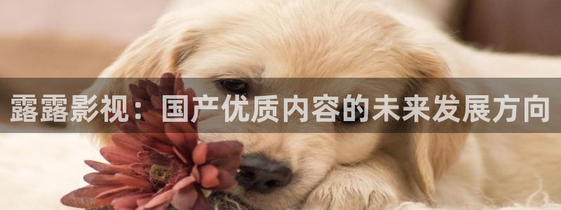 日本理论天狼2019影院：露露影视：国产优质内容的未来发展方向