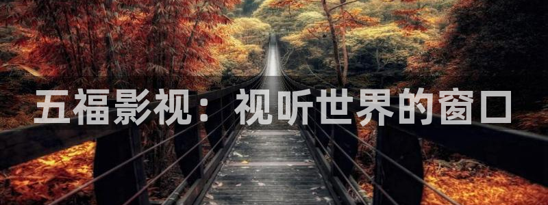 理论在线视频