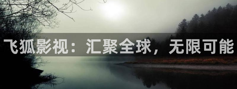 午夜理论免费影视：飞狐影视：汇聚全球，无限可能