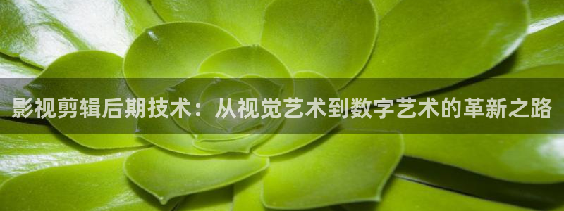 蜂鸟影院理论