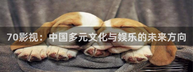 理论 电影 韩国